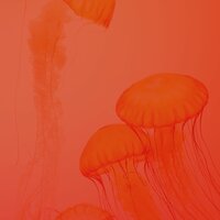 Музыка (Рестораны) - Утренний джаз