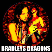 White Bird in the Black Sand - Bradleys Dragons