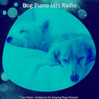 Sunny Music for Separation Anxiety - Dog Piano Jazz Radio