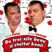 Am Facut In Viata Multe - George Nicoloiu