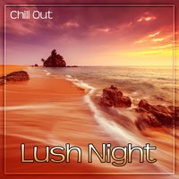 Under the Palms - Hawaii Chillout Music