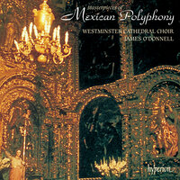 Padilla: Salve Regina - Westminster Cathedral Choir & Iain Simcock & Andrew Watts & Andrew Lawrence-King & James O'Donnell