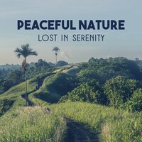 Meditation Will Solve Your Problems - Harmony Nature Sounds Academy