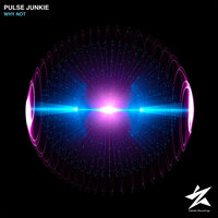 Why Not - Pulse Junkie