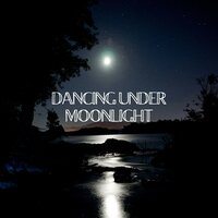 Gentle Moonlight - Tranquility Spree