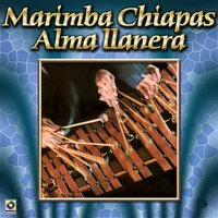 No Pidas Más Perdón - Marimba Chiapas