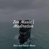 A Calm Forest - Sleeping Baby Songs & Relaxation Sleep Meditation & Meditação Yoga