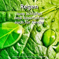 Entspann Dich - Regengeräusche in hoher Qualität & Naturgeräusche & Regengeräusche