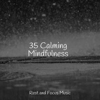 Sunshine Heatwave - Hipnose Natureza Sons Coleção & Ambient Music Therapy & Relaxing Mindfulness Meditation Relaxation Maestro