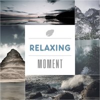 Spring Rain - Nature Sounds Artists