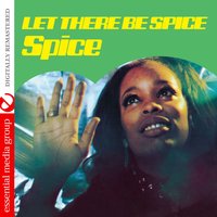 Don't Fight It - Spice