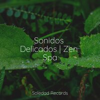 Cuidado y Ternura - Ambiente & Musicas Crianças & Musica Relajante New Age Culture