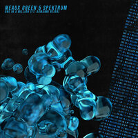 One in a Million - Meaux Green & Spektrum & Armanni Reign
