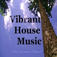 Vibrant Housemusic - Cristian Paduraru