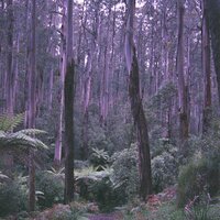 Rains and Drains - Deep Sleep Music Experience & Relaxing Rain Sounds & Yoga Para Ninos
