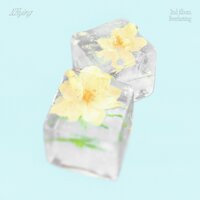 Rise Again - N.Flying