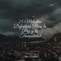 Olas Relajantes - Relajante & Especialistas de Musica para Dormir & Meditacion