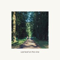 Last Leaf on the Vine - Young & Dumb甜又丧