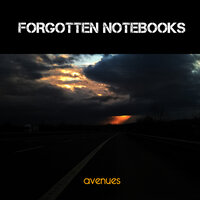 Flies No More - Avenues