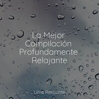 Aguas Zen - Música Zen Relaxante & Dormir Mucho & Cancion de Cuna