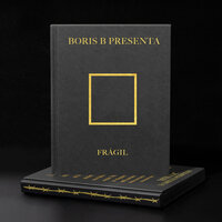 Frágil - Boris B & Low Frida