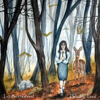 Drawing Lines - Fay Brotherhood