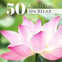 I Came Before the Water - Spa Music Collection