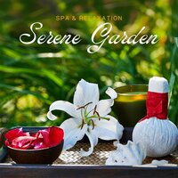 Celestial Currents - Spa & Relaxation