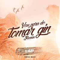 Vou Parar de Tomar Gin - DJ MUKA & Mc Ig