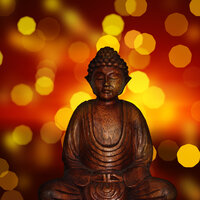 Always Mindful - Music for Dogs Collective & Sleeping Music For Dogs & Relaxation Music For Dogs