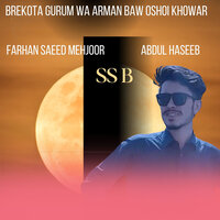 Brekota Gurum Wa Arman Baw Oshoi Khowar - SS B & Farhan Saeed Mehjoor & Abdul Haseeb