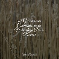 Hojas Revoloteando Hacia Abajo - Massagem Música & Ruido Blanco Para Bebes & Musica relajante