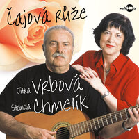 Co nevidět se sejdem - Stanislav Chmelik