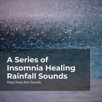 Pleasant Rain Rhythm - Deep Sleep Rain Sounds & Rain Sounds Collection & Rain Meditations