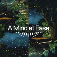 Meditation and Relaxation - Tranquil Comfort