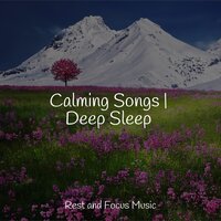 Blanket of Comfort - Brain Study Music Guys & Entspannungsmusik Meer & Binaural Beats