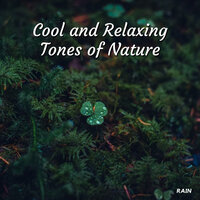 Lightning Rain - Rain Sounds For Sleep & The Rain Library & Rain Sounds ACE