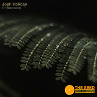 Unforseen - Josh Holiday