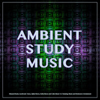 Studying Music For Focus - Binaural Beats Sleep & Study Music & Sounds & Binaural Beats Study Music