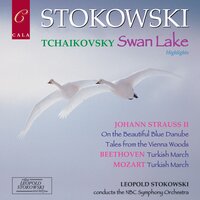 Swan Lake Op. 20, Act II No. 14: Scène - NBC Symphony Orchestra & Пётр Ильич Чайковский