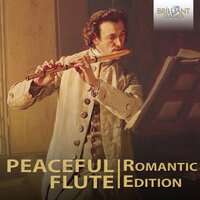 Concerto in D Minor: II. Andante - Orchestra I Pomeriggi Musicali & Maurizio Ciampi & Ginevra Petrucci