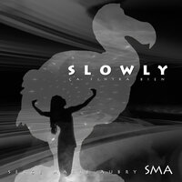 It Will Be Better - Serge Marie Aubry
