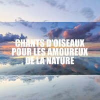 Belle oasis - Naturel Relaxation Ambiance