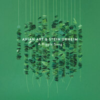 Look Well - Avian Art & Stein Urheim