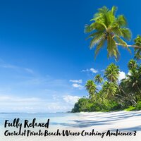 Overcast Private Beach Waves Crashing Ambience, Pt. 8 - Steve Brassel