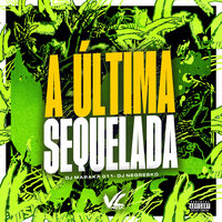 A Ultima Sequelada - DJ MARAKA 011 & Dj Negresko