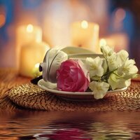 Pure Spa Experience - Dreamscape Dreams & Spa Music Kingdom & Massage Therapeutic Music