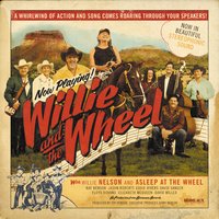 Shame on You - Willie Nelson & Asleep At The Wheel