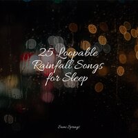 Small Ocean Waves Lapping - Winds and Oceans & Music For Absolute Sleep & Natural Sound Makers