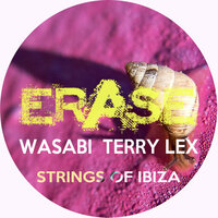 Strings of Ibiza - Wasabi & Terry Lex